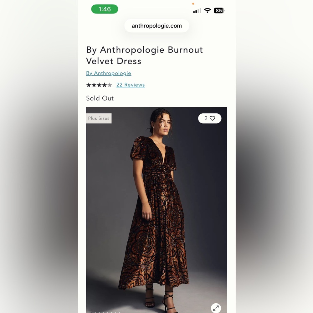 Anthropologie Burnout Velvet Maxi Dress — Black & Copper